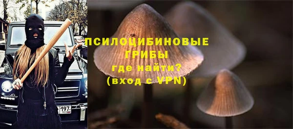 меф Армянск