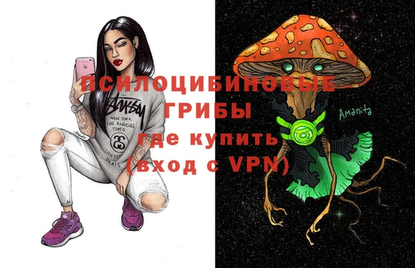 спиды Аркадак