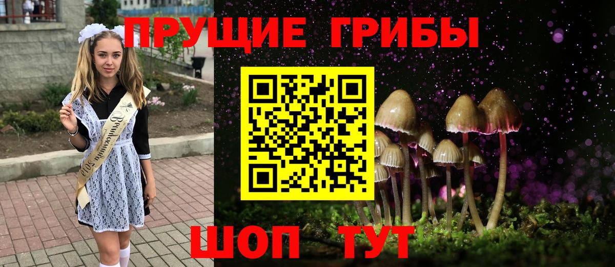 Псилоцибиновые грибы Psilocybine cubensis  Вход с VPN  Невинномысск  Псилоцибиновые грибы прущие грибы 