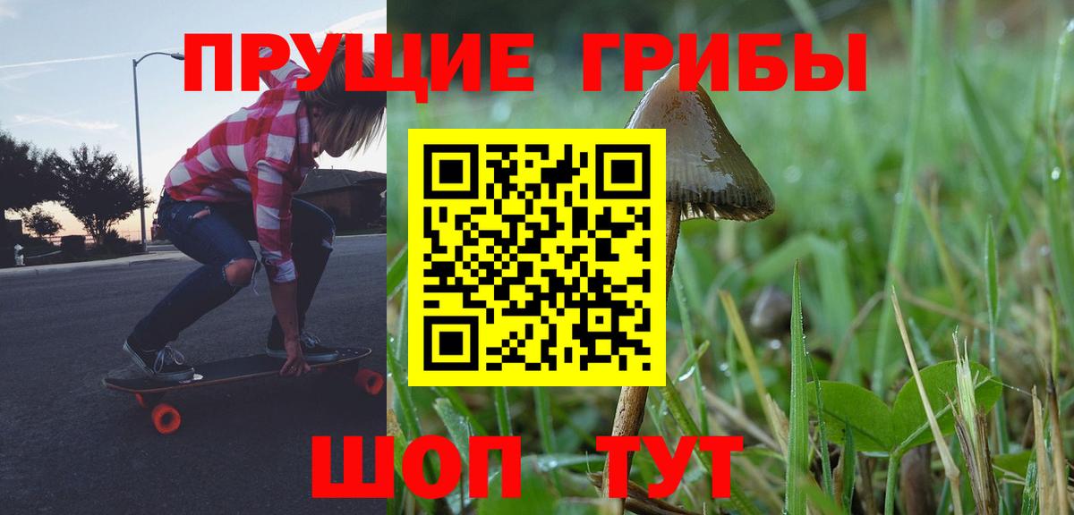 Псилоцибиновые грибы Cubensis Невинномысск